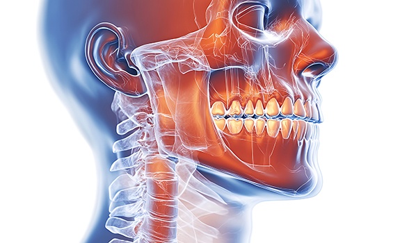 Illustration showing temporomandibular joint